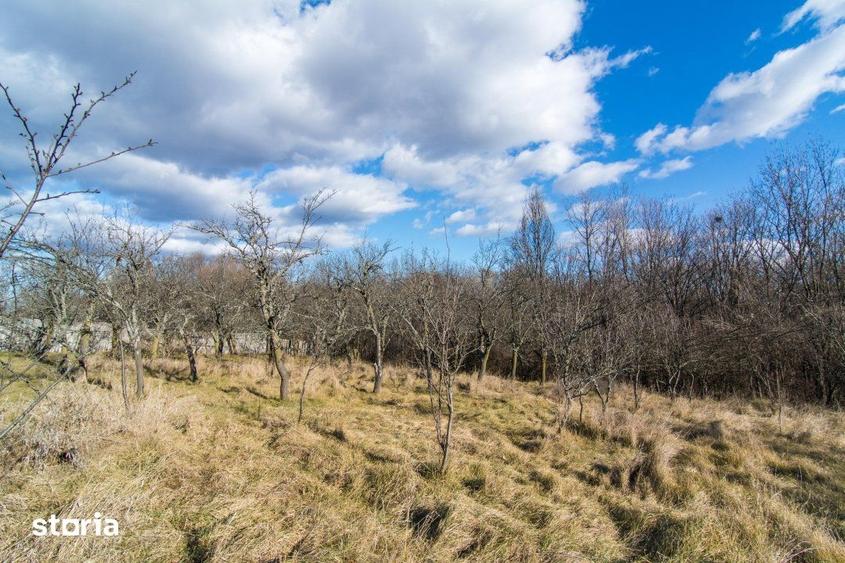Casă cu 3 camere cu Teren 4145 Mp în Vedea
