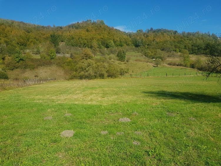Teren de 4500 mp, în Ciucea