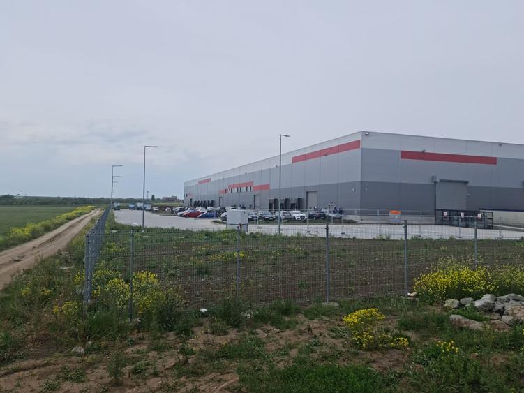 Teren Construcții intravilan de 25000 mp, în Lazu