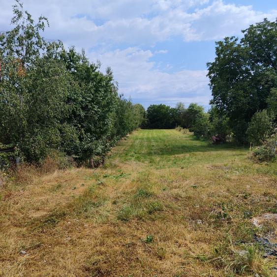 Teren de 2000 mp, în Șimian