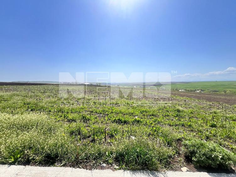 Teren agricol intravilan de 2600 mp, în Moara