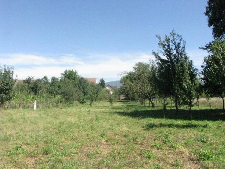 Teren intravilan de 4400 mp, în Prejmer