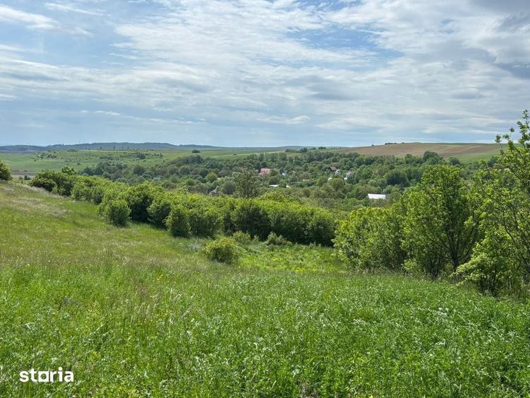 Teren de 4500 mp, în Tureni