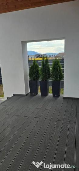 Casă cu 3 camere cu Teren 300 Mp în Noua
