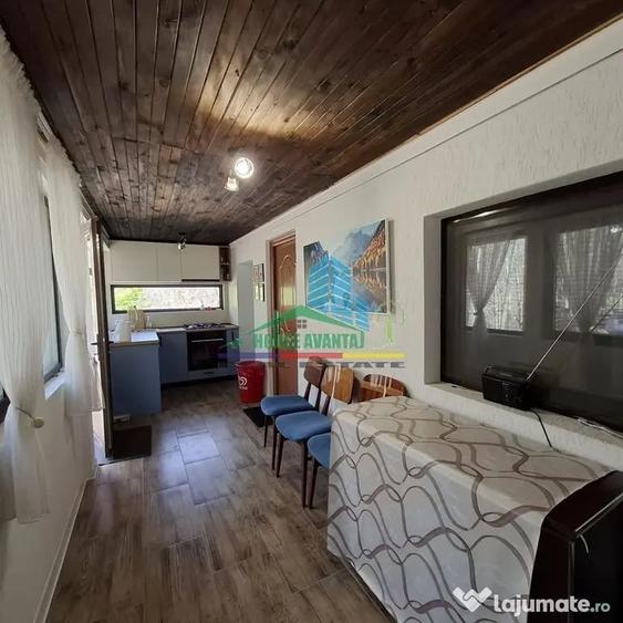 Casa de Vacanta Lepsa - 9