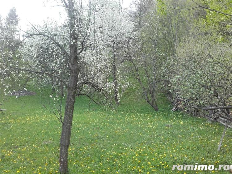 Teren de 3400 mp, în Trăisteni