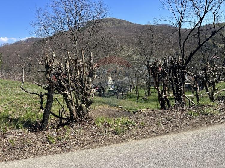Teren Construcții intravilan de 1106 mp, în Firiza