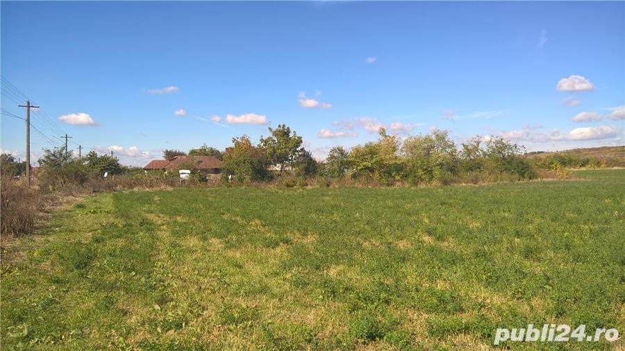 Teren de 39500 mp, în Valea Călugărească