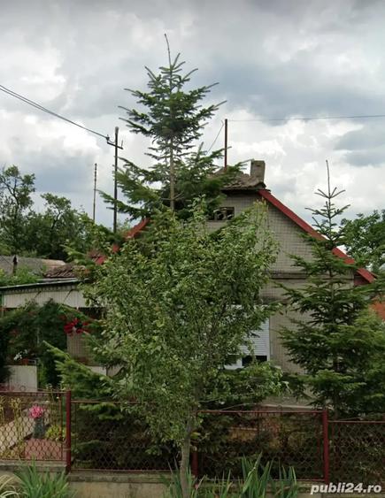 Casă cu 2 camere cu Teren 1875 Mp în Săcășeni