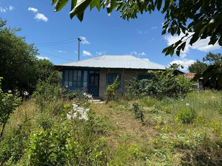 Casa la tara de vanzare in Tarnava, Teleorman locuibila, teren, foisor, hidrofor, 1500mp - 3