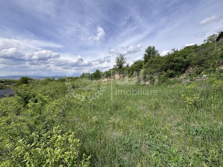 Teren Construcții intravilan de 959 mp, în Dezmir