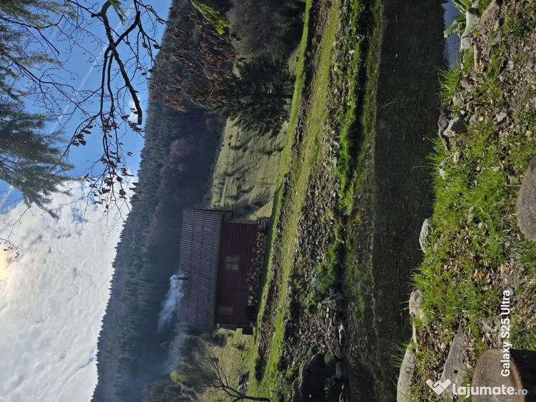Teren de 8000 mp, în Lunca Vișagului