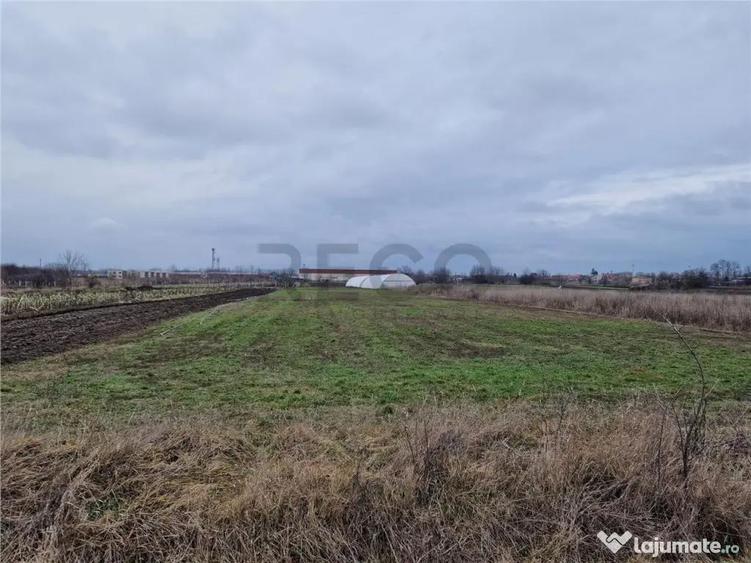 Teren de 1167 mp, în Borș