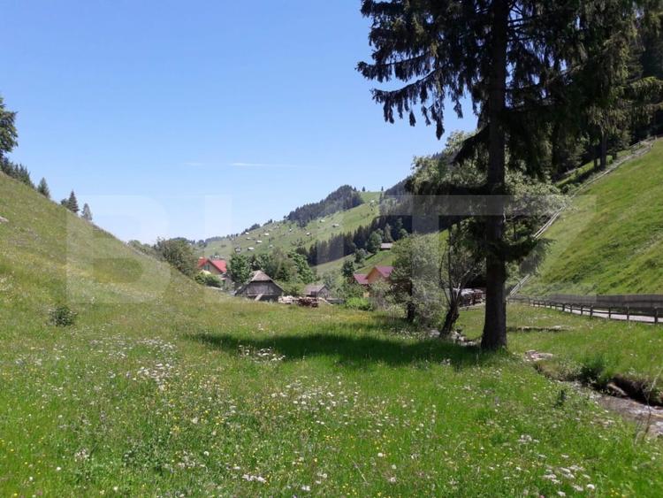 Teren Construcții intravilan de 4890 mp, în Moieciu de Sus