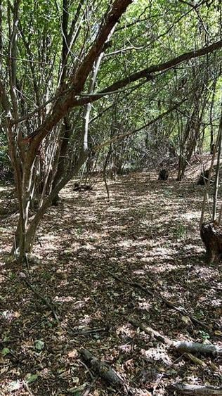 Teren extravilan de 3600 mp, în Bradu