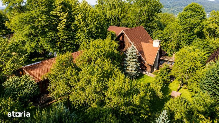 Mountain Chalet | Private Resort | Investment - Nistoresti - 2