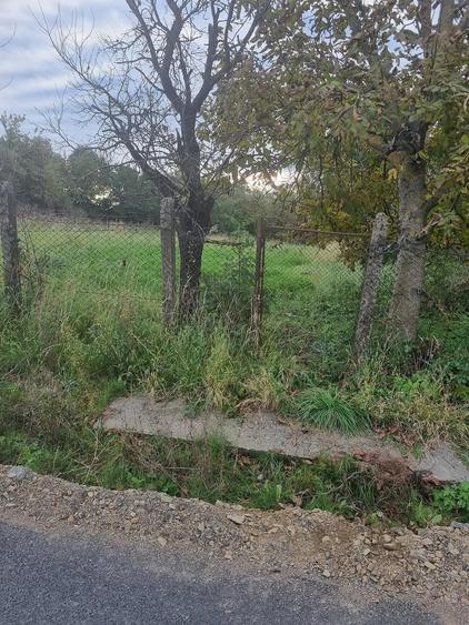 Teren de 1500 mp, în Aiton