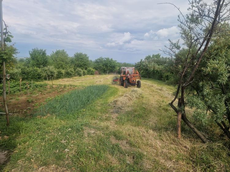 Casă cu 4 camere în Deleni