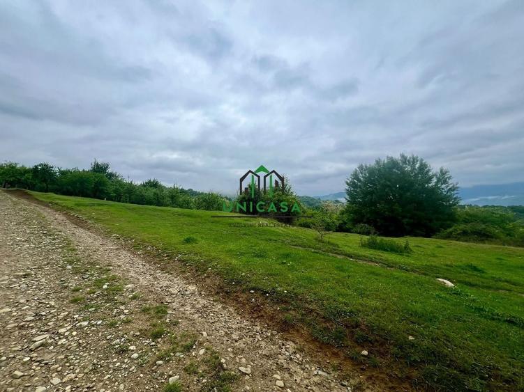 Teren Construcții intravilan de 3507 mp, în Seaca (Călimănești)