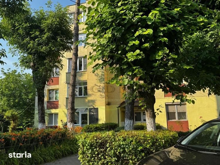 Apartament cu 4 camere, mobilat în Central