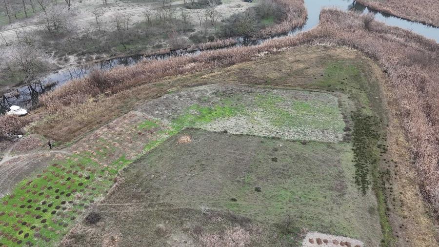 TEREN INTRAVILAN 4.508 MP CU APA PE 3 LATURI Cardon, Delta Dunarii - Sulina - Padurea Letea - 3