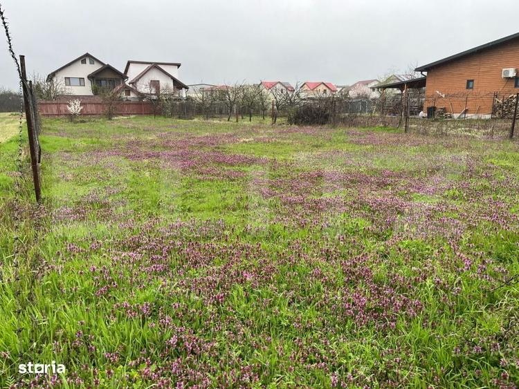 Teren 650 mp, front 13 ml, Selgros - zona Little Town - 2
