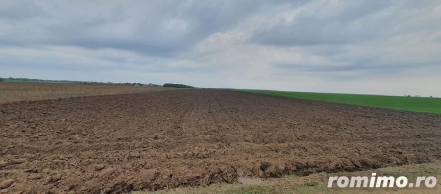 Teren de 27500 mp, în Belciugatele