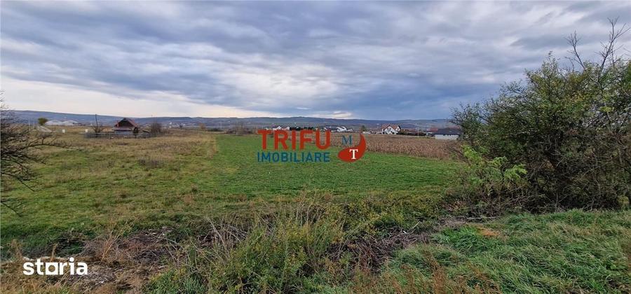 Teren de 2160 mp, în Partoș