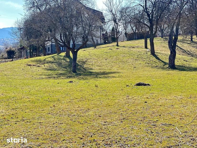 TEREN SOHODOL - UN LOC UNDE NATURA I?I DEVINE PARTENER DE INVESTI?IE - 9
