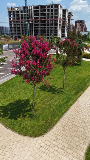 Apartament cu 3 camere decomandat în Militari