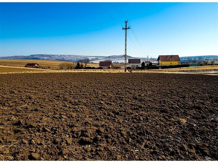 Teren Construcții intravilan de 991 mp, în Moara Carp