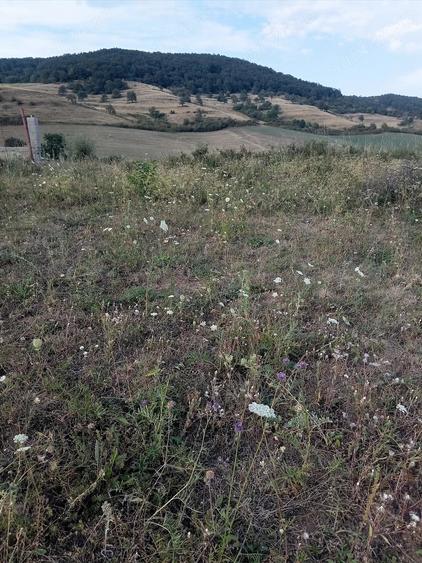 Teren de 1350 mp, în Aghireșu