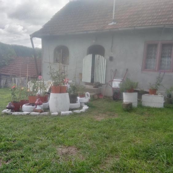 Casă cu Teren 1450 Mp în Baia de Criș