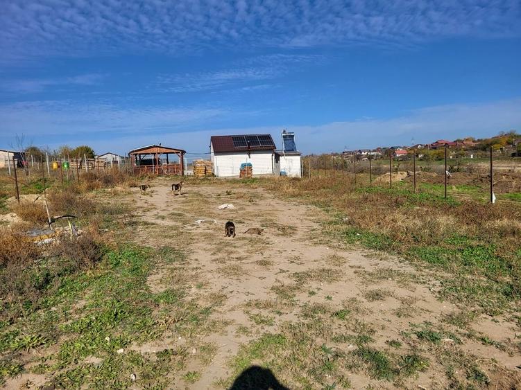 Teren în Vânători