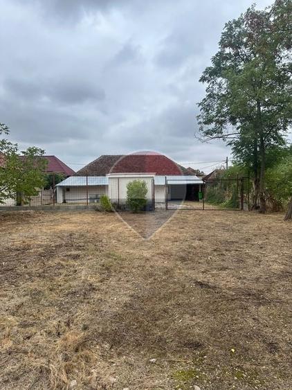 Casă individuală cu 4 camere cu Teren 2442 Mp în Suplacu de Tinca