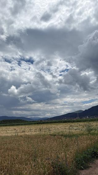 BRASOV,Teren agricol 19.600 mp, 1,96 ha/ Săcele,Front stradal 56 ml,Investiție - 5