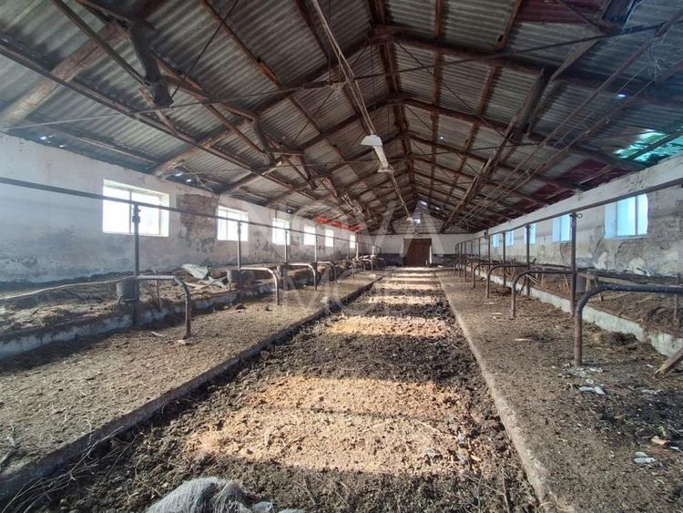 Proprietate specială, de 5,000 mp, în Central