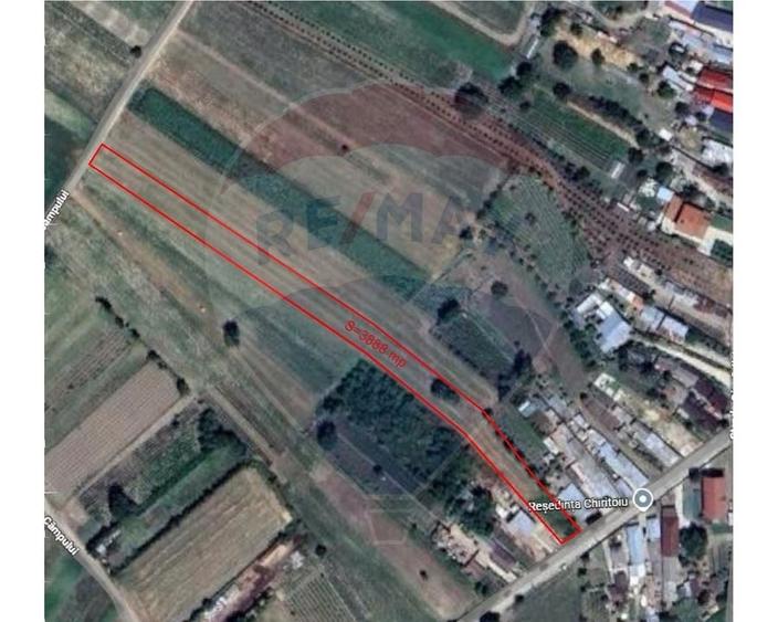 Teren Construcții intravilan de 3888 mp, în Gologanu