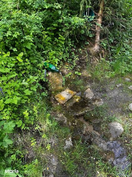 Terende vanzare 4.300 mp Brate?-Tarcau,Neam?-Poten?ial turistic - 5