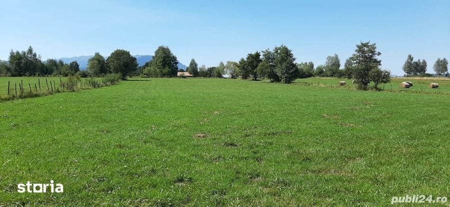 Teren de 9350 mp, în Bran