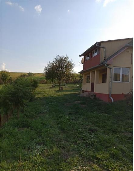 Teren Construcții intravilan de 11600 mp, în Câmpenești