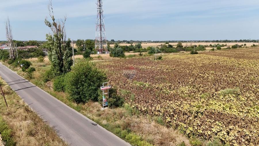 Teren Construcții intravilan de 8648 mp, în Moșteni