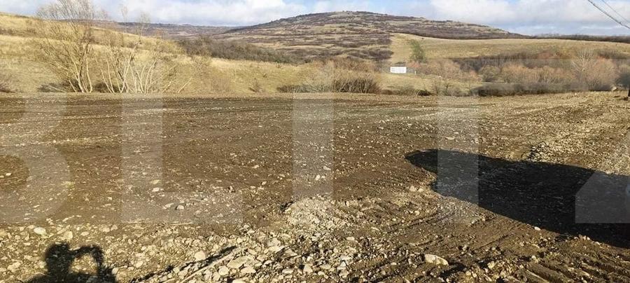 Teren Construcții intravilan de 12656 mp, în Borșa