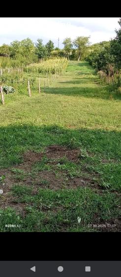 Casă individuală cu 5 camere cu Teren 2960 Mp în Dobârca
