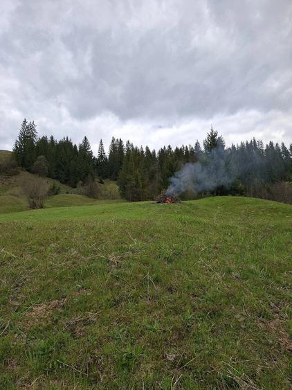 Teren de 600 mp, în Paltin