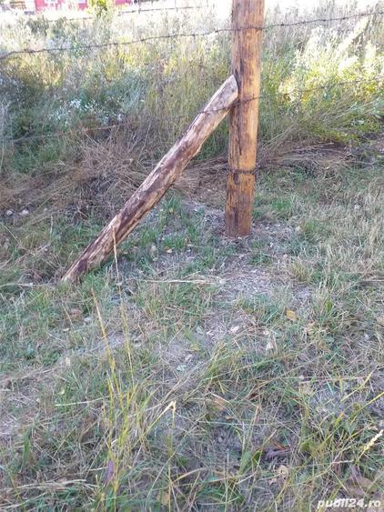 Teren de 350 mp, în Cheia