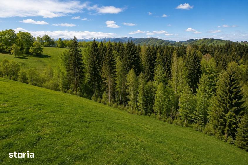 Teren de 18500 mp, în Bran