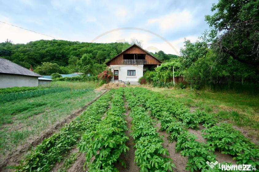 Casă cu 3 camere cu Teren 4696 Mp în Central