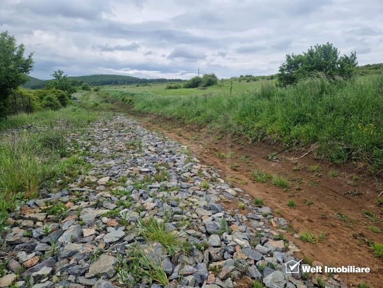 Teren Construcții intravilan de 924 mp, în Sălicea