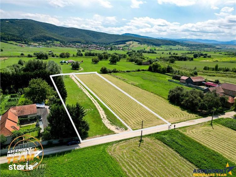 Teren de 2900 mp, în Dobârlău